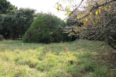 Terrain a batir a vendre Le Palais 56360 Morbihan 2137 m2  362250 euros