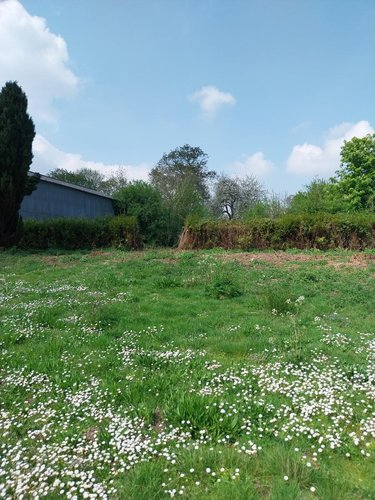 Terrain a batir a vendre Bajus 62150 Pas-de-Calais 919 m2  48000 euros