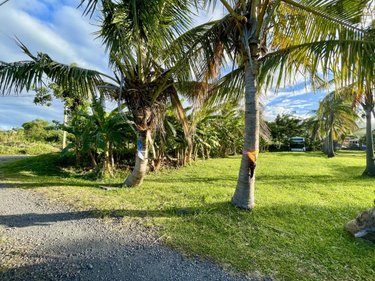 Terrain a batir a vendre Sainte-Suzanne 97441 Réunion 2589 m2  574750 euros