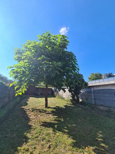 Maison a vendre Ornans 25290 Doubs 203 m2 9 pièces 275000 euros