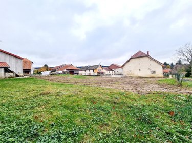 Terrain a batir a vendre Bolandoz 25330 Doubs 768 m2  53000 euros