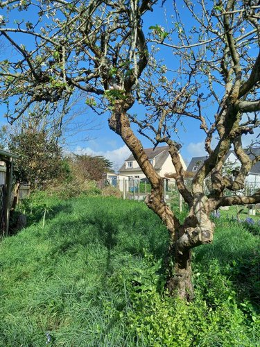 Maison a vendre Camaret-sur-Mer 29570 Finistère 114 m2 5 pièces 159000 euros