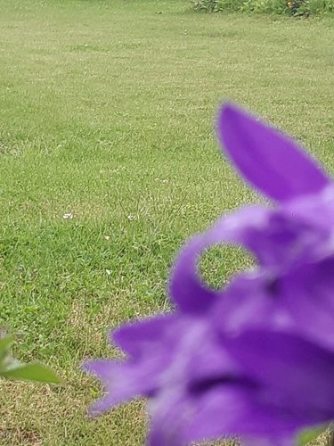 Terrain a batir a vendre Treffléan 56250 Morbihan 576 m2  115600 euros