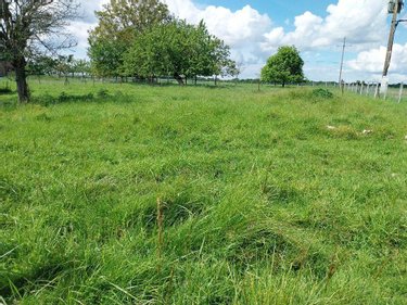 Terrain a batir a vendre Feuguerolles 27110 Eure 805 m2  43000 euros