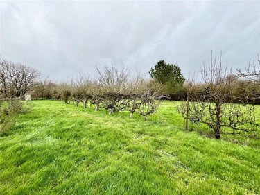 Maison a vendre La Garnache 85710 Vendée 117 m2 5 pièces 244500 euros