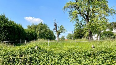 Terrain a batir a vendre Bersée 59235 Nord 1027 m2  160000 euros