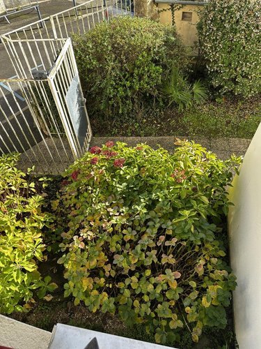 Appartement a vendre Vannes 56000 Morbihan 19 m2 1 pièce 130000 euros