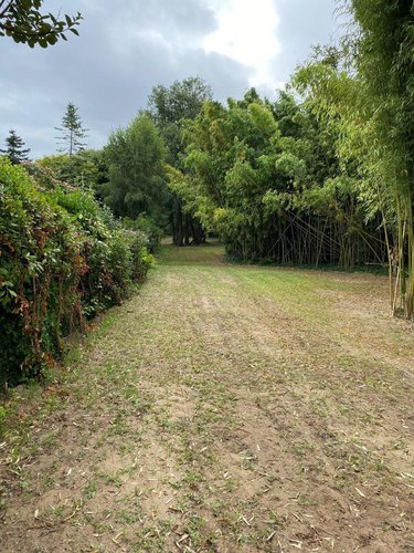 Terrain a batir a vendre Notre-Dame-de-Monts 85690 Vendée 1054 m2  116300 euros