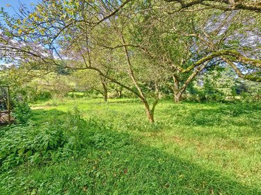 Maison a vendre Rangecourt 52140 Haute-Marne 232 m2 10 pièces 130000 euros