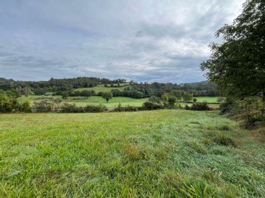 Terrain a batir a vendre Vebret 15240 Cantal 6180 m2  31800 euros
