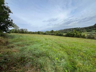 Terrain a batir a vendre Vebret 15240 Cantal 6180 m2  31800 euros