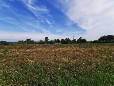 Terrain a batir a vendre Caouënnec-Lanvézéac 22300 Côtes-d'Armor 1563 m2  45480 euros