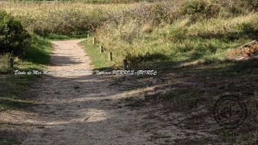 Maison a vendre Pleumeur-Bodou 22560 Côtes-d'Armor 106 m2 4 pièces 448060 euros