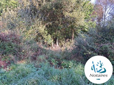 Terrain a batir a vendre Quemperven 22450 Côtes-d'Armor  30900 euros