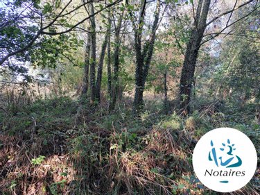 Terrain a batir a vendre Quemperven 22450 Côtes-d'Armor  30900 euros