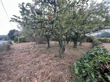 Terrain a batir a vendre Augan 56800 Morbihan 537 m2  18210 euros