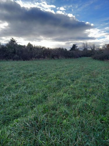 Bien agricole a vendre Camaret-sur-Mer 29570 Finistère  42240 euros