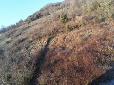 Terrain a batir a vendre Saint-Alban-Leysse 73230 Savoie 5604 m2  299000 euros