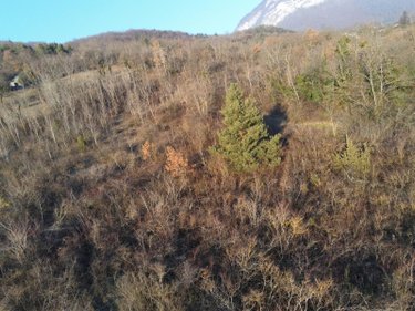 Terrain a batir a vendre Saint-Alban-Leysse 73230 Savoie 5604 m2  299000 euros