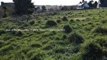 Terrain a batir a vendre Lannion 22300 Côtes-d'Armor 1017 m2  110670 euros