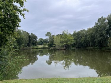 Maison a vendre Guer 56380 Morbihan 114 m2 5 pièces 343020 euros