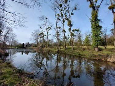 Maison a vendre Hudimesnil 50510 Manche 240 m2 8 pièces 613600 euros