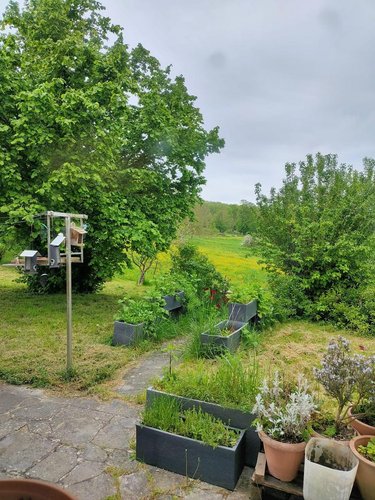 Maison a vendre Saint-Martin-d'Ablois 51530 Marne 199 m2 8 pièces 339000 euros