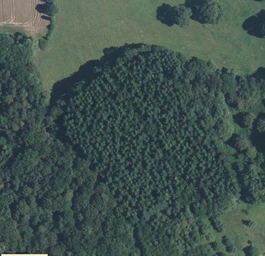 Terrains de loisirs bois etangs a vendre Guer 56380 Morbihan 19710 m2  31800 euros