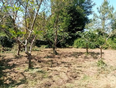 Maison a vendre Val-Couesnon 35560 Ille-et-Vilaine 150 m2 6 pièces 239100 euros