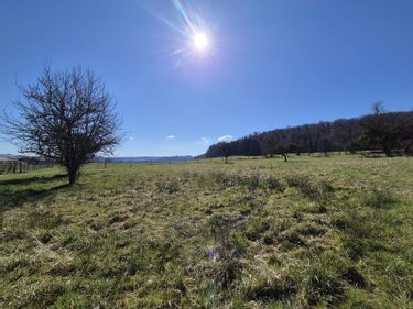 Terrain a batir a vendre Rouhe 25440 Doubs 1841 m2  79322 euros