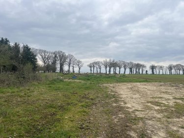 Terrain a batir a vendre Taupont 56800 Morbihan 1489 m2  104750 euros