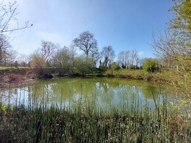 Maison a vendre Cérences 50510 Manche 229 m2 8 pièces 798999 euros