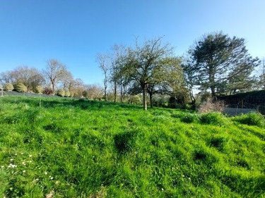 Maison a vendre Coudeville-sur-Mer 50290 Manche 70 m2 4 pièces 228800 euros