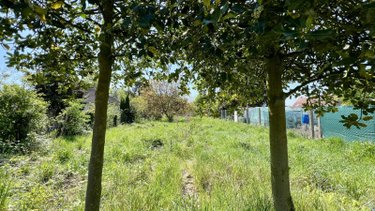 Terrain a batir a vendre Templeuve-en-Pévèle 59242 Nord 554 m2  139000 euros