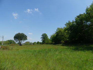 Maison a vendre Avessac 44460 Loire-Atlantique 133 m2 6 pièces 190620 euros