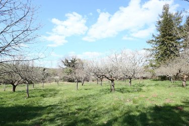 Maison a vendre Arc-et-Senans 25610 Doubs 187 m2 7 pièces 480000 euros