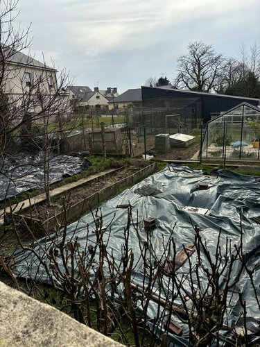 Maison a vendre Landivy 53190 Mayenne 49 m2 3 pièces 56140 euros