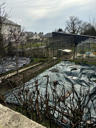 Maison a vendre Landivy 53190 Mayenne 49 m2 3 pièces 93565 euros
