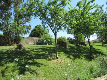 Maison a vendre Bouin 85230 Vendée 127 m2 6 pièces 281100 euros