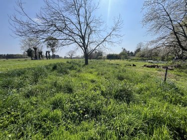 Maison a vendre Taupont 56800 Morbihan 130 m2 4 pièces 99200 euros