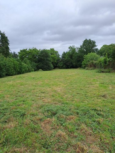 Terrain a batir a vendre Caro 56140 Morbihan 1724 m2  45300 euros