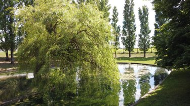 Maison a vendre Ladoix-Serrigny 21550 Côte-d'Or 225 m2 10 pièces 699000 euros