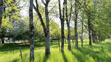 Maison a vendre Ladoix-Serrigny 21550 Côte-d'Or 225 m2 10 pièces 645000 euros