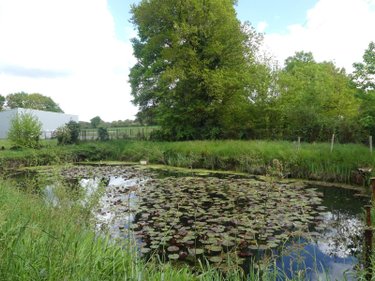 Maison a vendre Sainte-Anne-sur-Vilaine 35390 Ille-et-Vilaine 179 m2 5 pièces 229000 euros