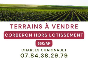 Terrain a batir a vendre Corberon 21250 Côte-d'Or 1072 m2  69000 euros