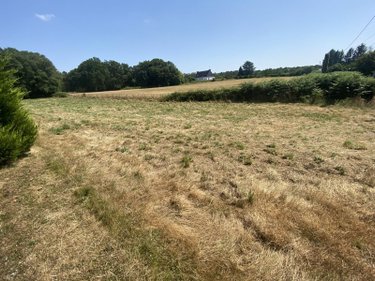 Terrain a batir a vendre Languidic 56440 Morbihan 555 m2  53000 euros