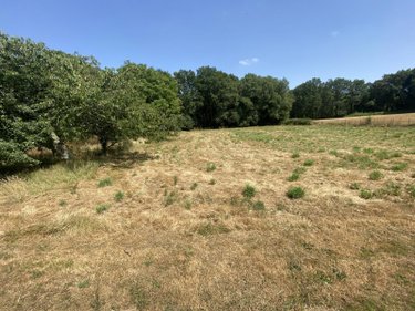 Terrain a batir a vendre Languidic 56440 Morbihan 3320 m2  82250 euros