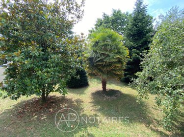 Maison a vendre Liffré 35340 Ille-et-Vilaine 83 m2 3 pièces 287000 euros
