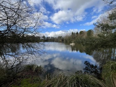 Maison a vendre Ménéac 56490 Morbihan 179 m2 6 pièces 166900 euros