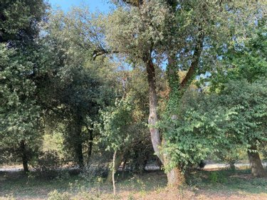 Maison a vendre La Barre-de-Monts 85550 Vendée 70 m2 4 pièces 214150 euros